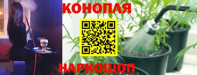 гидра Гай