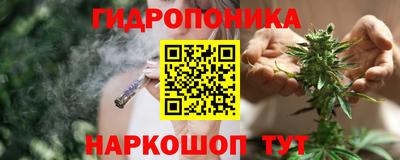 гидра Гай