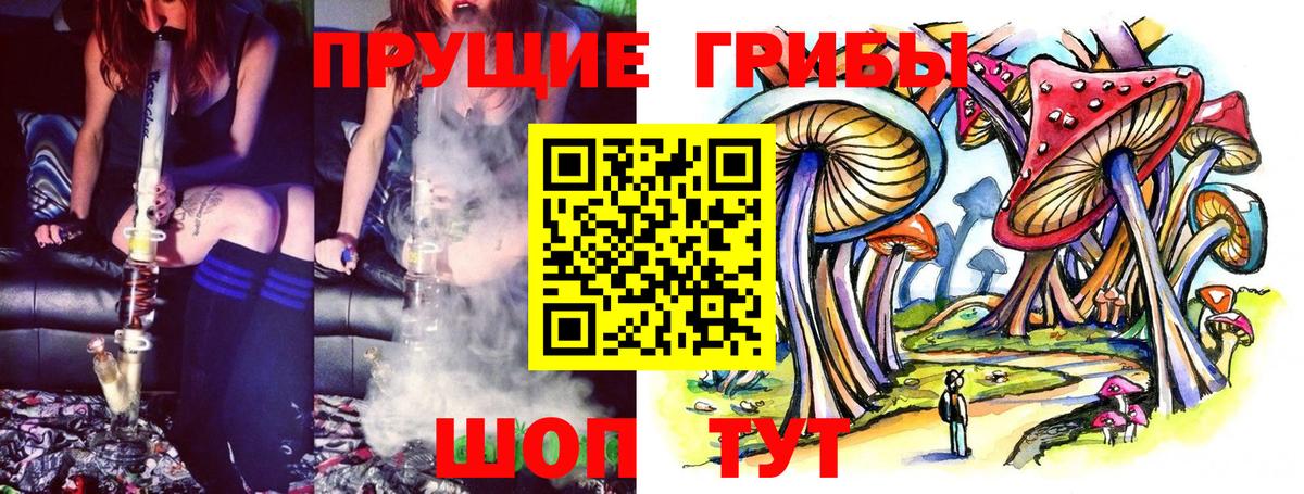 Псилоцибиновые грибы ЛСД  Вход с VPN  Новомосковск 